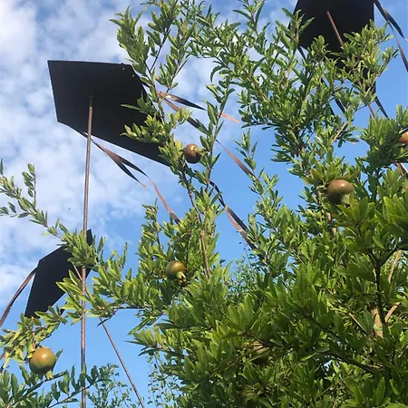 Casa Karina Sun&pool&relax