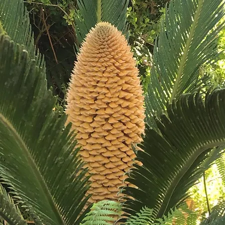 Casa Karina Sun&pool&relax *