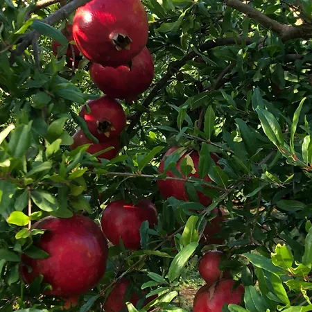 דירה Casa Karina Sun&pool&relax