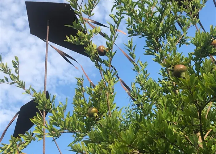 Casa Karina Sun&pool&relax